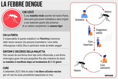 Ciclo di trasmissione Febbre Q