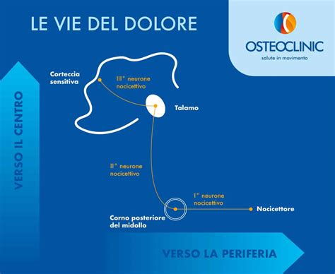 diagramma che spiega il processo di sensibilizzazione centrale nel dolore cronico