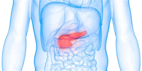 Lubrificanti non adatti al concepimento