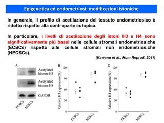 Patogenesi dell'Endometriosi