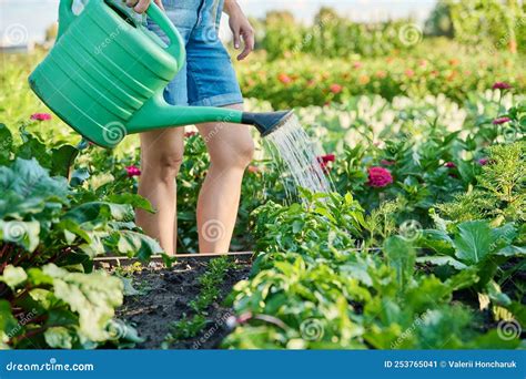 Tutino che innaffia una piantina nel suo orto