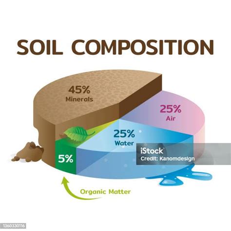 Illustrazione scientifica della composizione del suolo