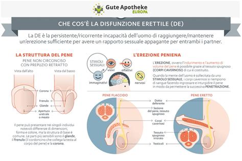Connessione tra disfunzione erettile e salute cardiaca