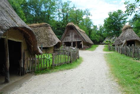 rappresentazione artistica di un antico bosco sacro celtico