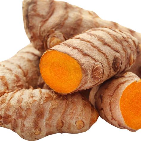 rizoma di curcuma fresca e polvere essiccata