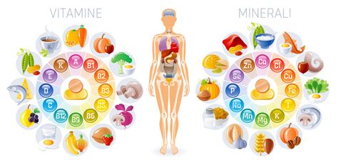 Tavola dei Micronutrienti Essenziali in Gravidanza