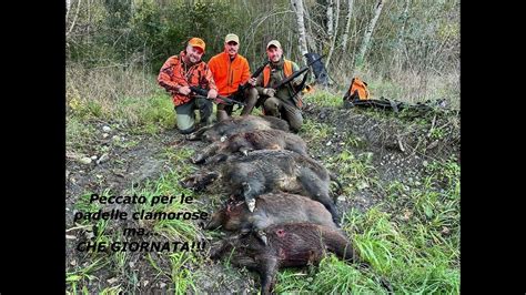 Cinghiale salvato da laccio