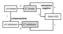illustrazione schematica dei meccanismi di regolazione della sdraietta