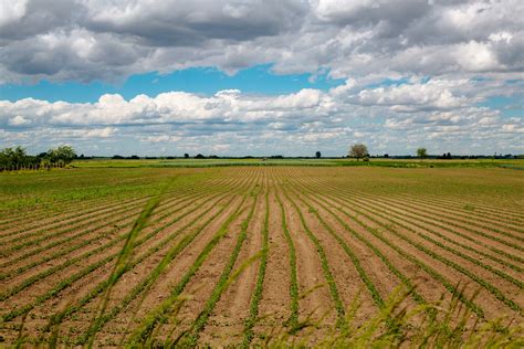 Immagine di un campo arido contrapposto a un campo fertile