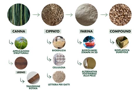 Schema comparativo delle capacità di assorbimento tra fibra di bambù e cotone standard