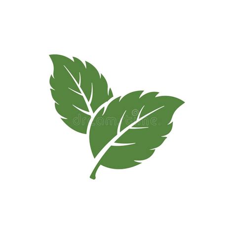 Foglia di menta, simbolo portafortuna per Achille