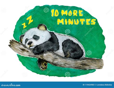Illustrazione di un panda addormentato