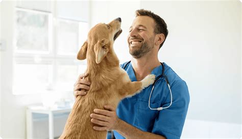 Veterinario a domicilio con cane e gatto