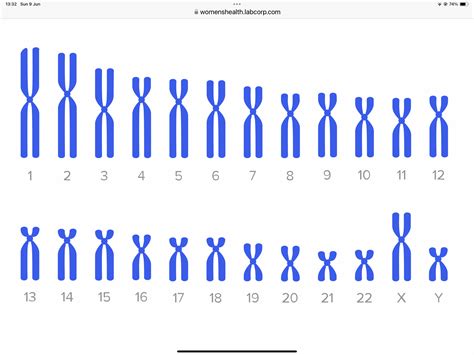 Infografica NIPT funzionamento