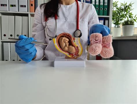 Attività principali di un medico ostetrico