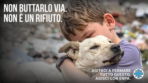 Volontari ENPA che si prendono cura di animali in difficoltà