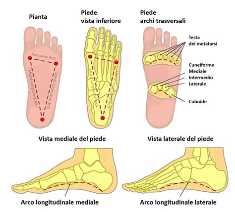 Immagine che mostra l'applicazione di moxa sul punto BL 67 del piede
