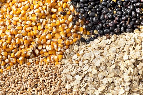 Impianto di produzione mangimi e additivi zootecnici