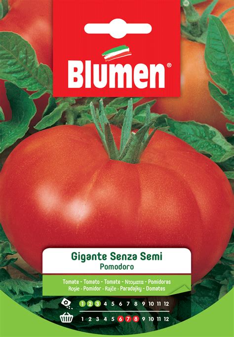 Pomodoro senza semi, sezione