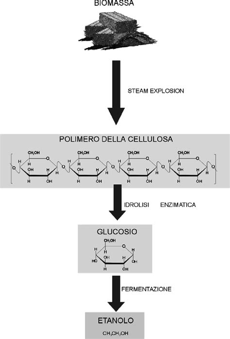 schema del processo di trasformazione della cellulosa in materiale assorbente (fluff)