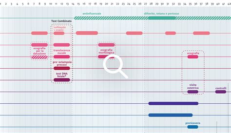 PERCORSO NASCITA: Calendario visite e controlli in gravidanza