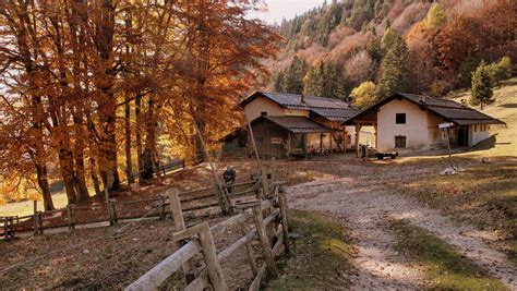Malga Kraun in autunno con i suoi faggi
