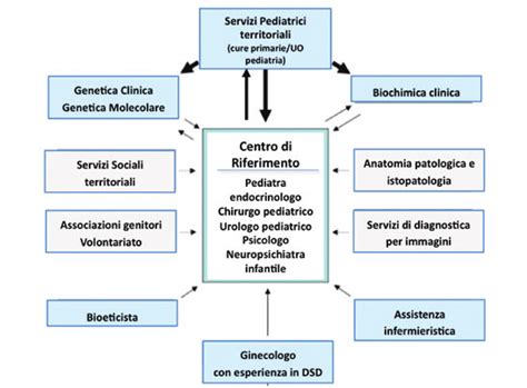 rappresentazione schematica dei servizi di assistenza alla donna