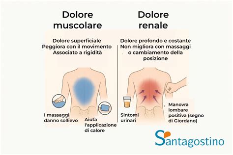 schema comparativo tra dolore lombare muscolare e dolore renale