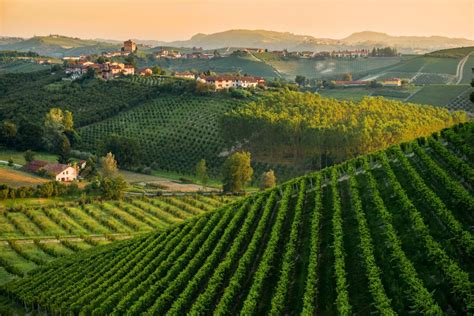 paesaggio collinare astigiano e vigne