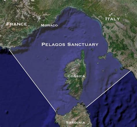 mappa illustrativa dell'Area Marina Protetta Santuario Pelagos