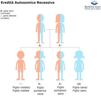 rappresentazione schematica dell'ereditarietà autosomica recessiva della fibrosi cistica