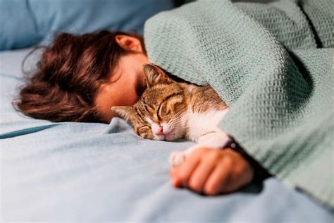 Una persona che coccola un gatto addormentato sul divano