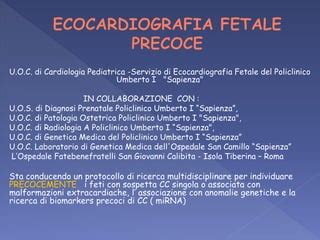 Ecografia fetale precoce