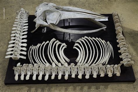 Facciata del Museo Emanuele Barba