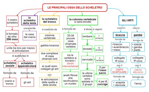 Diagramma della costruzione dello scheletro rettangolare del cartamodello con le misure corrette