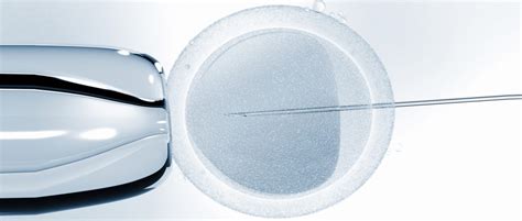Microiniezione di spermatozoo (ICSI)