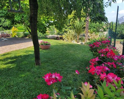 giardino curato con aree separate per il cane