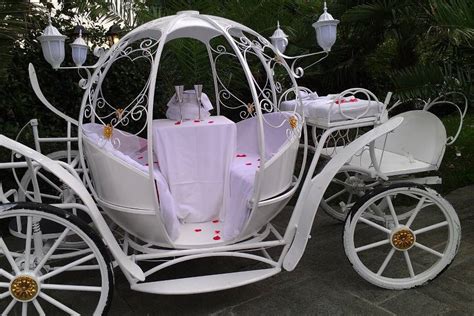 passeggino trasformato in carrozza fiabesca con tulle e luci LED