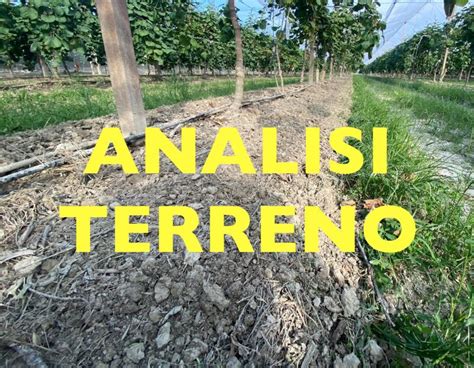 analisi del terreno e macroelementi NPK per il prato