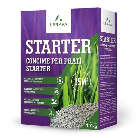 processo di germinazione dei semi di prato con fertilizzante starter