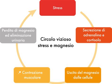 Ciclo vizioso stress e concepimento