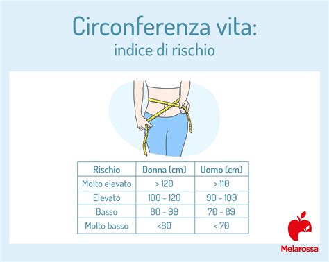infografica sulle diverse taglie e misurazione corretta della circonferenza vita