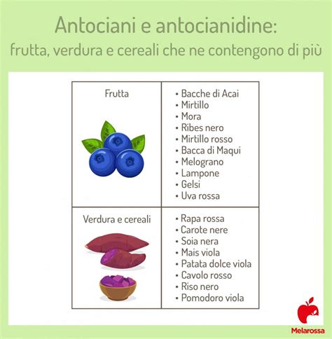 Varietà di frutta e verdura ricche di antociani come mirtilli, uva, cavoli rossi