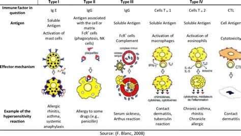 Schema dei tipi di ipersensibilità di Gell e Coombs