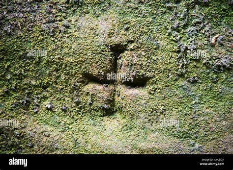 Il Menhir di San Leonardo con la croce incisa