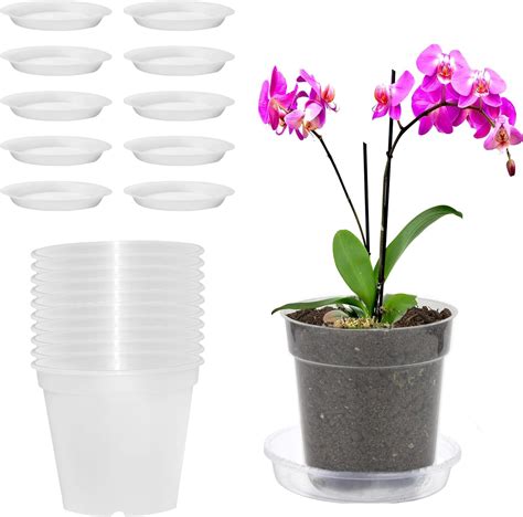 Vaso con fori di drenaggio e substrato per succulente