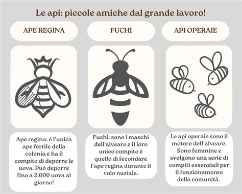 Infografica: Ruoli e Benefici della L-Arginina nell'Organismo