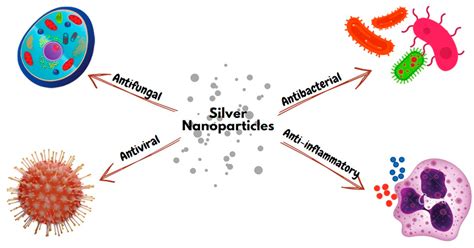 Silver nanoparticles in medicine