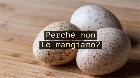 Uova di tacchino disinfettate