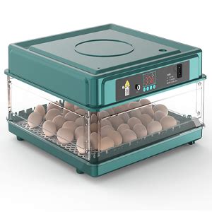 Incubatrice per uova di tacchino